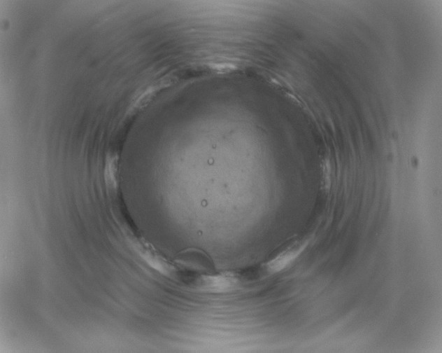 X0000060580286200511241349