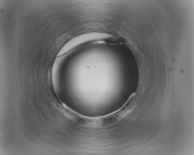 X0000060580288200511241349