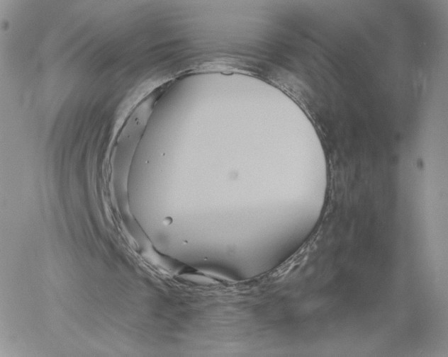 X0000060580289200511241348