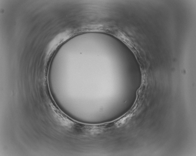 X0000060580293200511241348