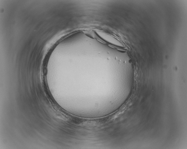 X0000060580294200511241348