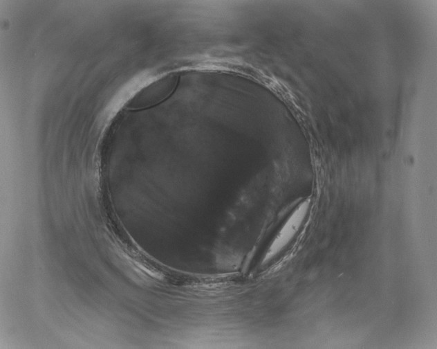 X0000060580295200511241348