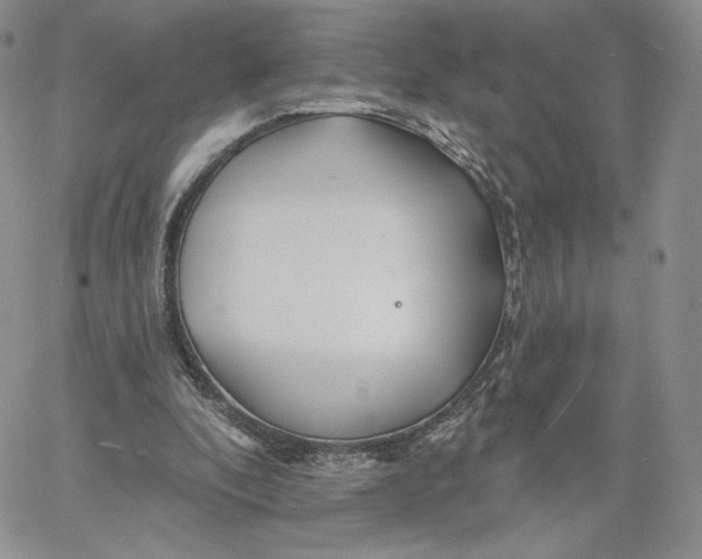 X0000060580296200511241348