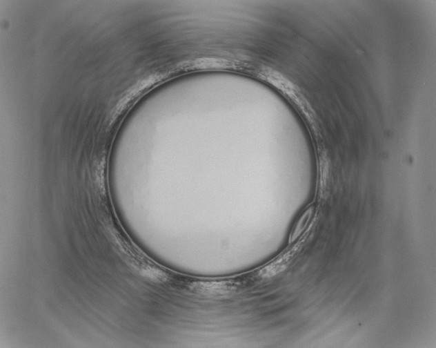 X0000060580297200511241348