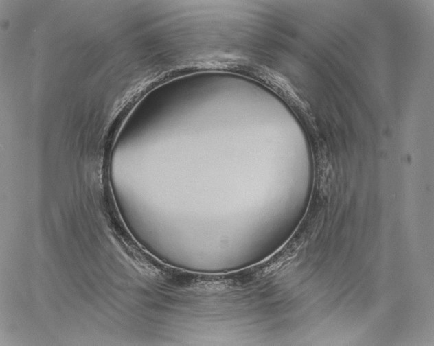 X0000060580299200511241348