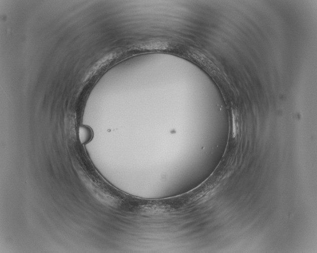 X0000060580300200511241348