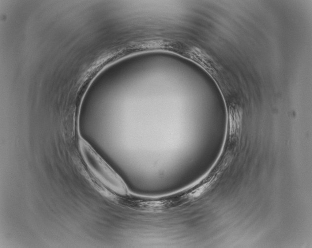 X0000060580301200511241348