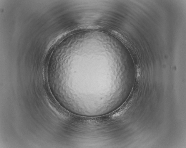 X0000060580302200511241348