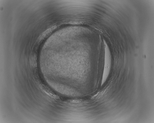 X0000060580303200511241348