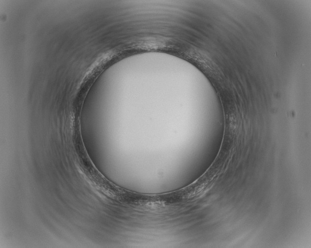 X0000060580304200511241348