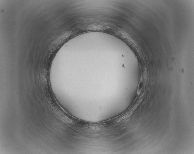 X0000060580305200511241348