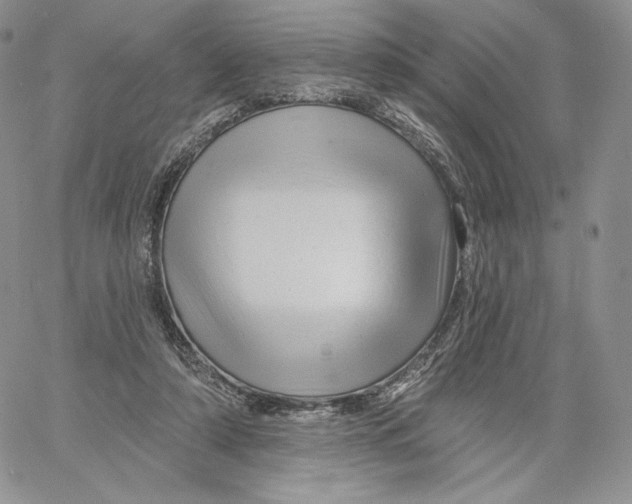 X0000060580306200511241348