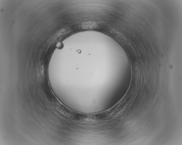 X0000060580308200511241348