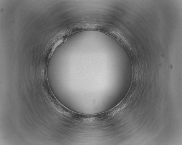 X0000060580309200511241348