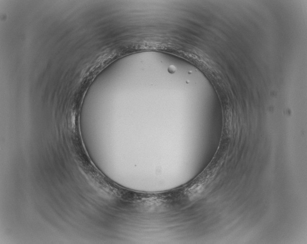 X0000060580310200511241348