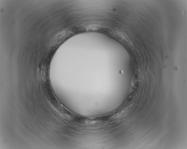 X0000060580311200511241348