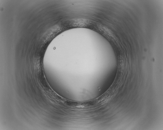 X0000060580312200511241348