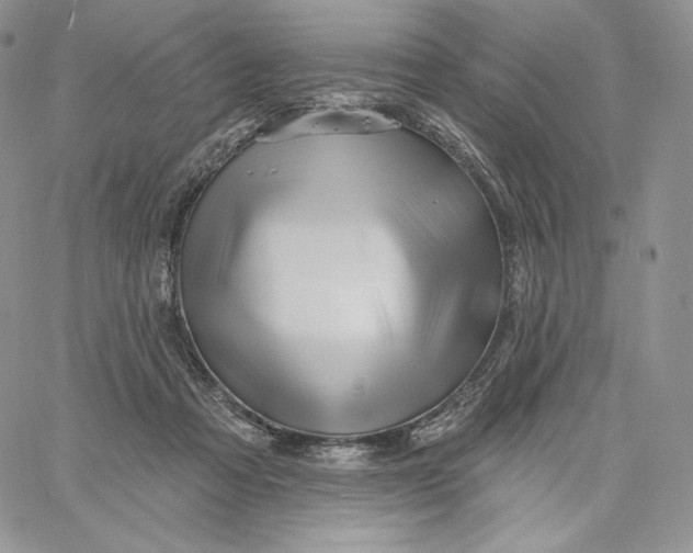 X0000060580313200511241348