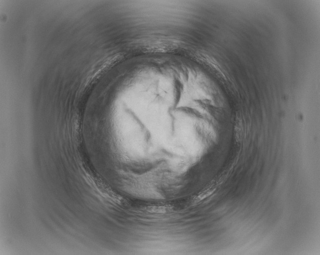 X0000060580314200511241348