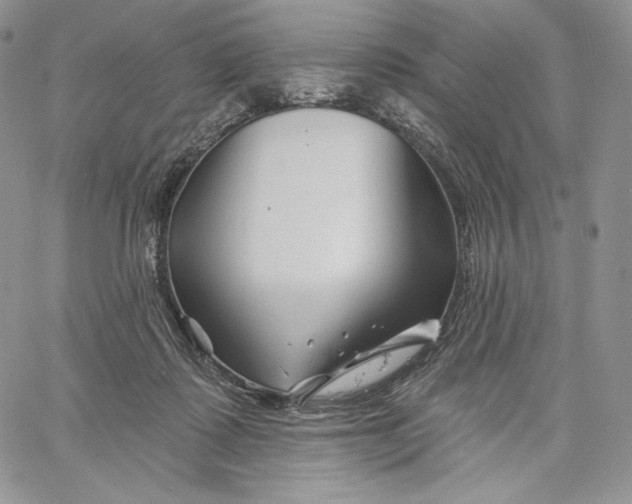 X0000060580315200511241348