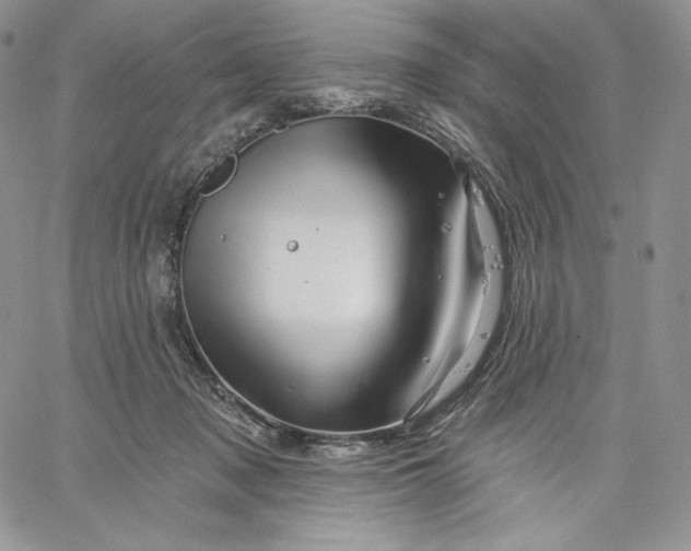 X0000060580317200511241348