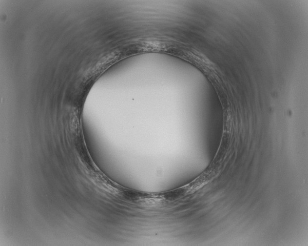 X0000060580318200511241348