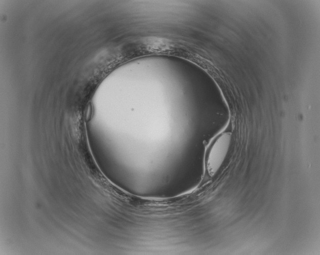 X0000060580319200511241348