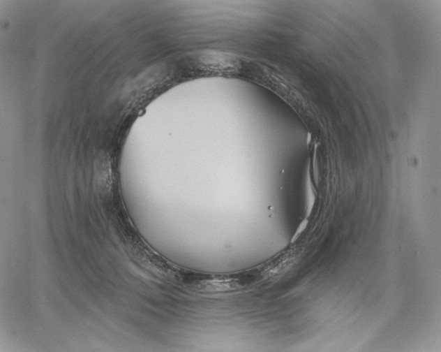 X0000060580320200511241348