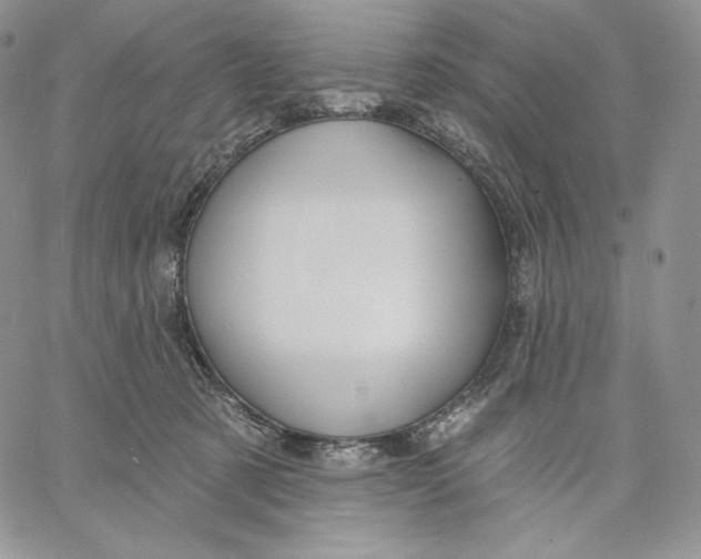 X0000060580321200511241347