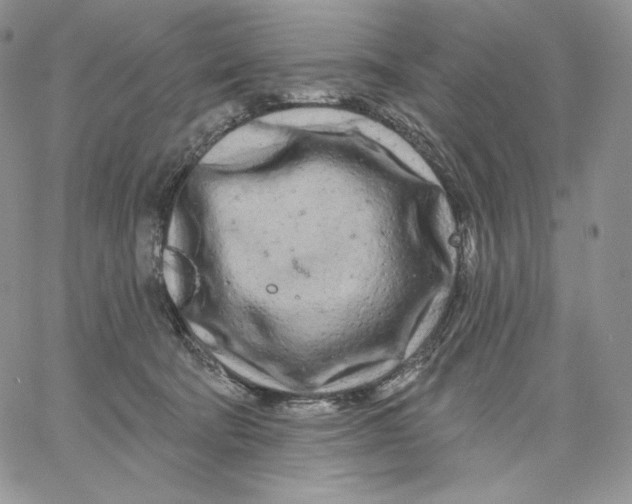 X0000060580322200511241347