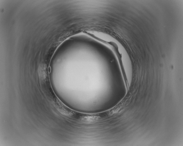 X0000060580323200511241347