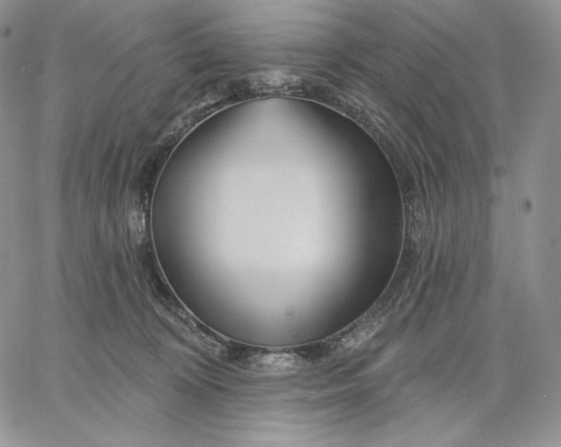 X0000060580324200511241347