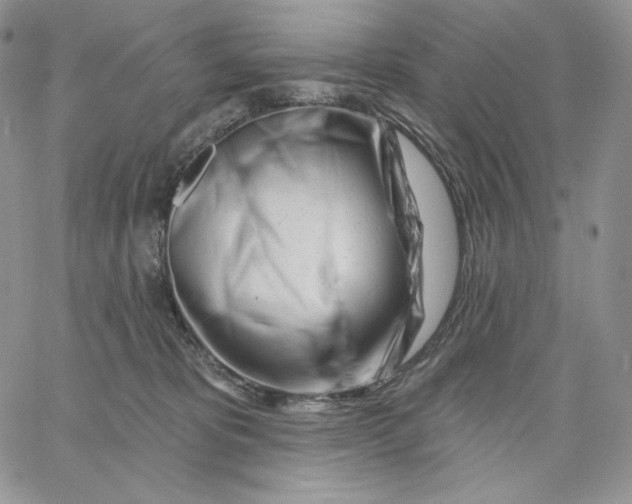 X0000060580325200511241347