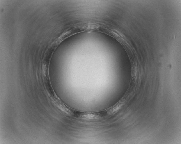 X0000060580326200511241347