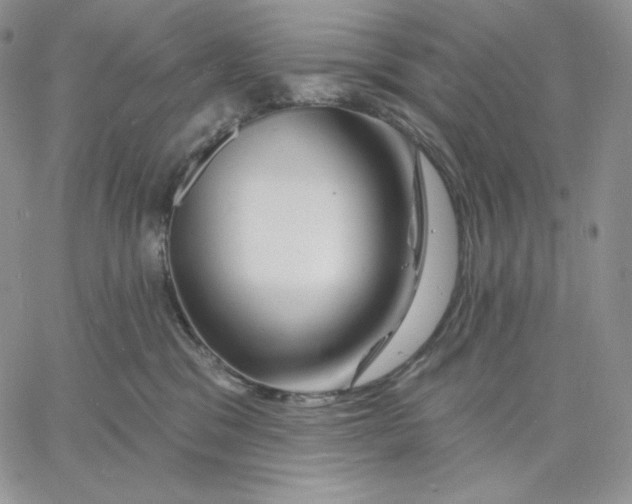 X0000060580329200511241347