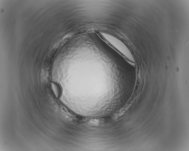 X0000060580330200511241347