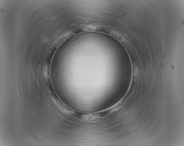 X0000060580331200511241347