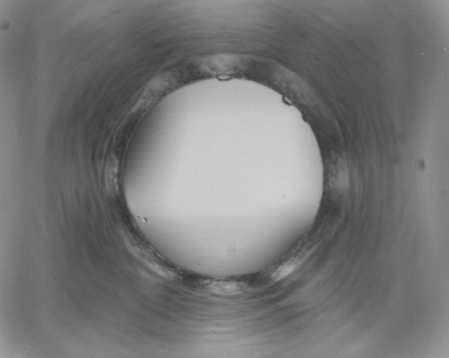 X0000060580332200511241347