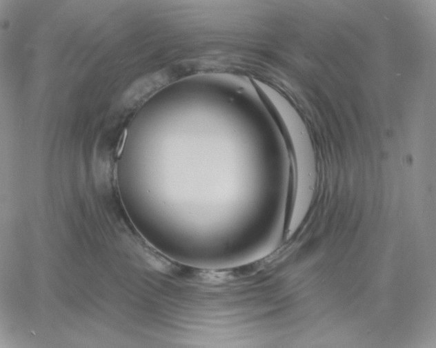 X0000060580333200511241347