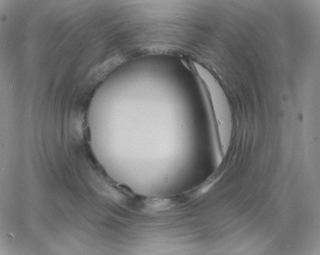 X0000060580334200511241347