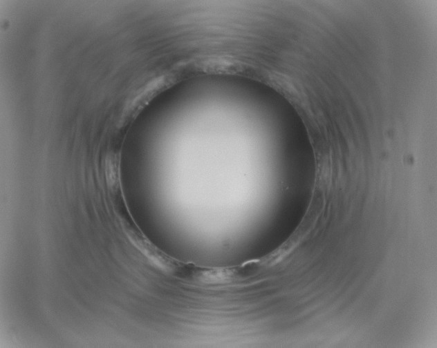 X0000060580335200511241347