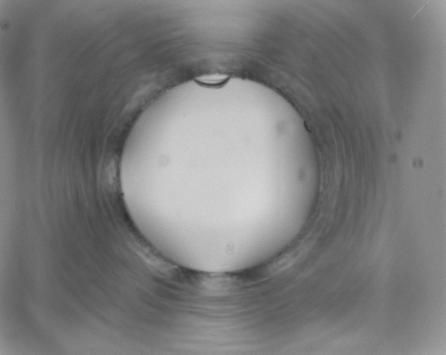 X0000060580336200511241347