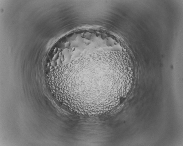 X0000060580337200511241346