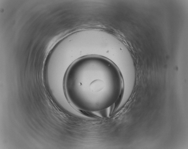 X0000060580340200511241346