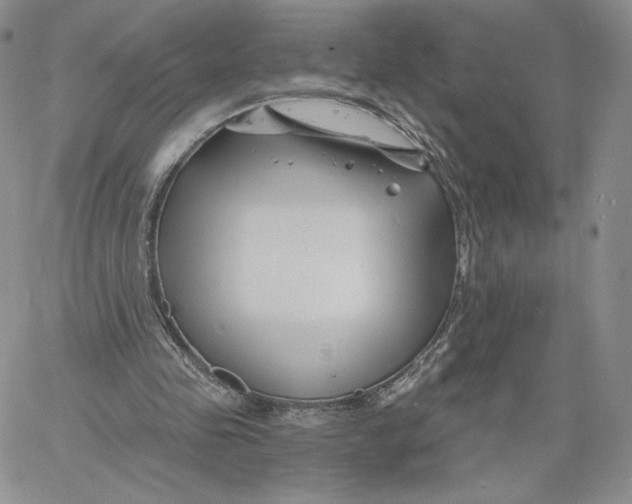 X0000060580341200511241347