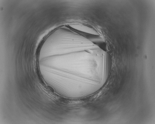 X0000060580342200511241347