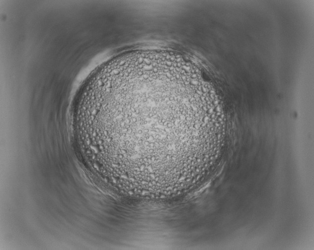 X0000060580343200511241347