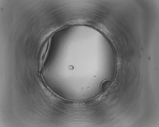 X0000060580345200511241347