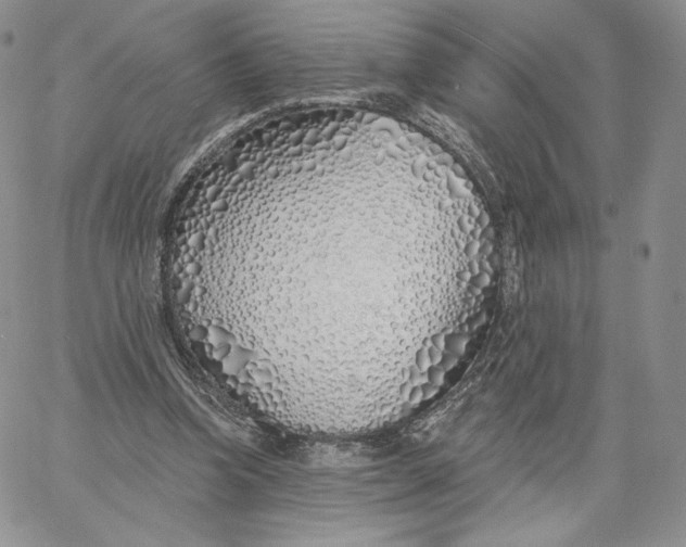 X0000060580346200511241347