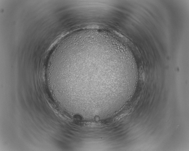 X0000060580347200511241347